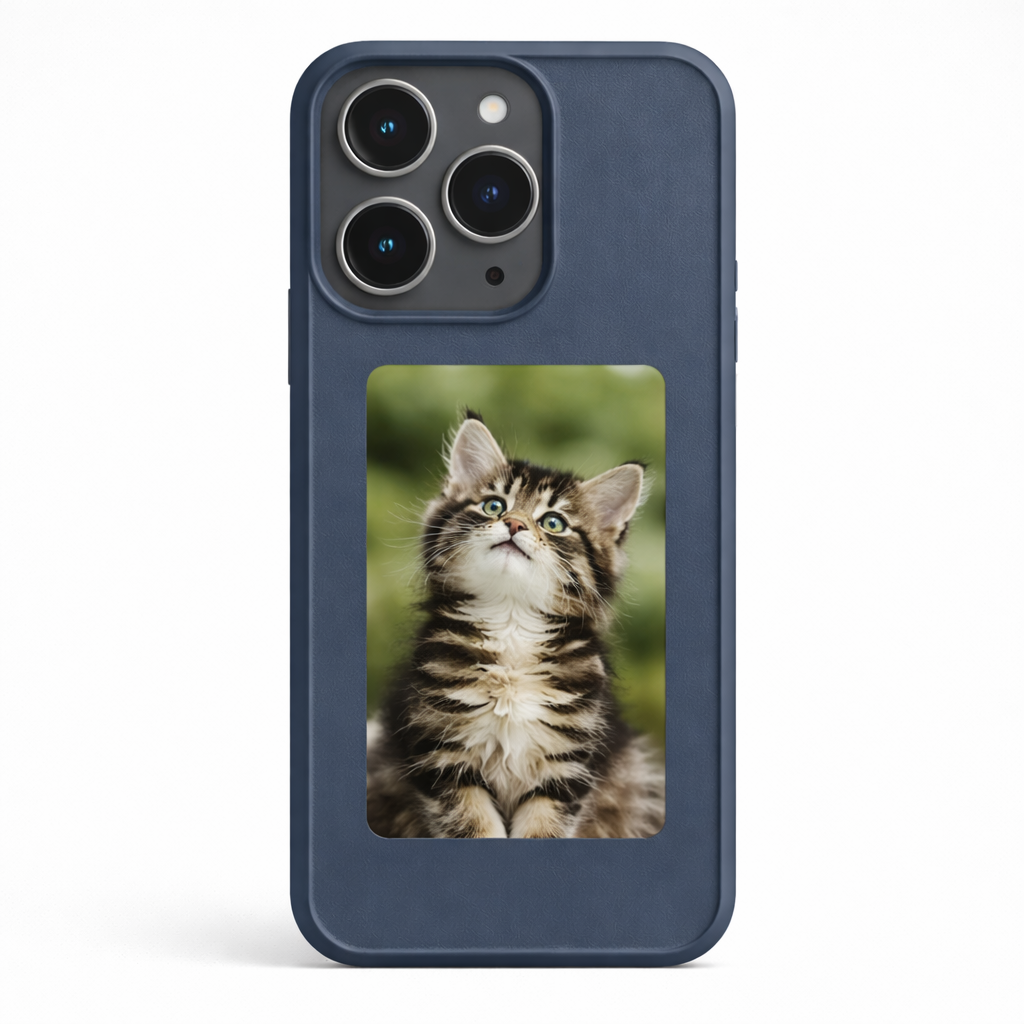 Blue NFC powered photo display phone case with kitten image – customizable picture case for iPhone 13, 14, 15, 16 Pro and Pro Max